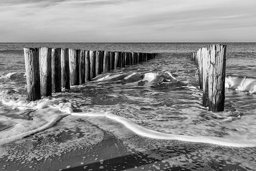 Tussen de golfbrekers -  In between  2