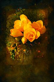 Freesien No3 von Helga Blanke