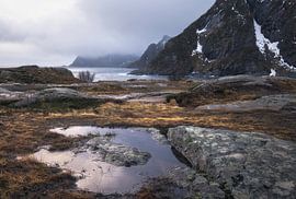 Atemberaubende Landschaften der Lofoten mit ruhigen Gewässern und dramatischen von PhotoCluster