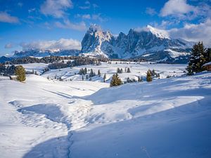 Seiser Alm im Winter