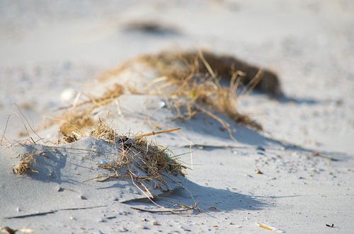 Strand op Ameland