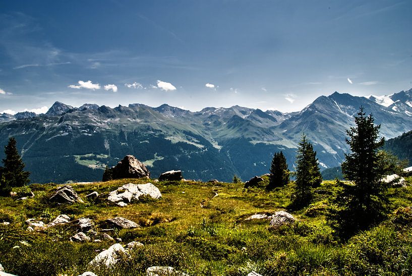 On an Alp, Switzerland by Manuel Declerck