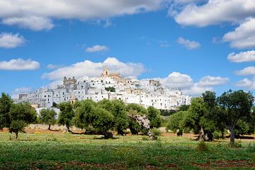 De witte stad Ostuni in Apulië met olijfbomen