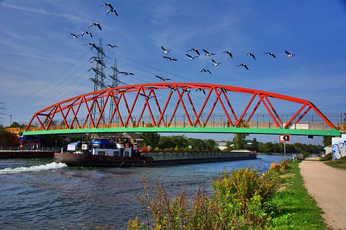 Papegaaienbrug 2