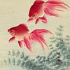 Two veiltail goldfish, Ohara Koson by 1000 Schilderijen