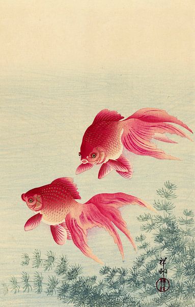 Twee sluierstaart goudvissen, Ohara Koson van 1000 Schilderijen
