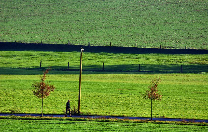 Haardspaziergang par Edgar Schermaul