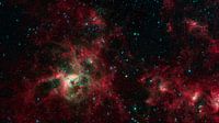 James Webb Spacetelescope of the Tarantula Nebula.