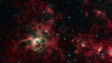 James Webb Spacetelescope of the Tarantula Nebula. van Brian Morgan