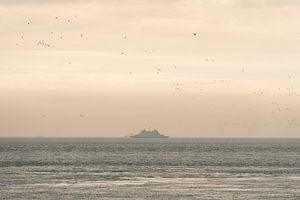 Oude veerboot op de Waddenzee omringt door vogels