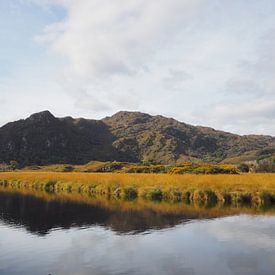 Killarney Irland von Sanne Bakker