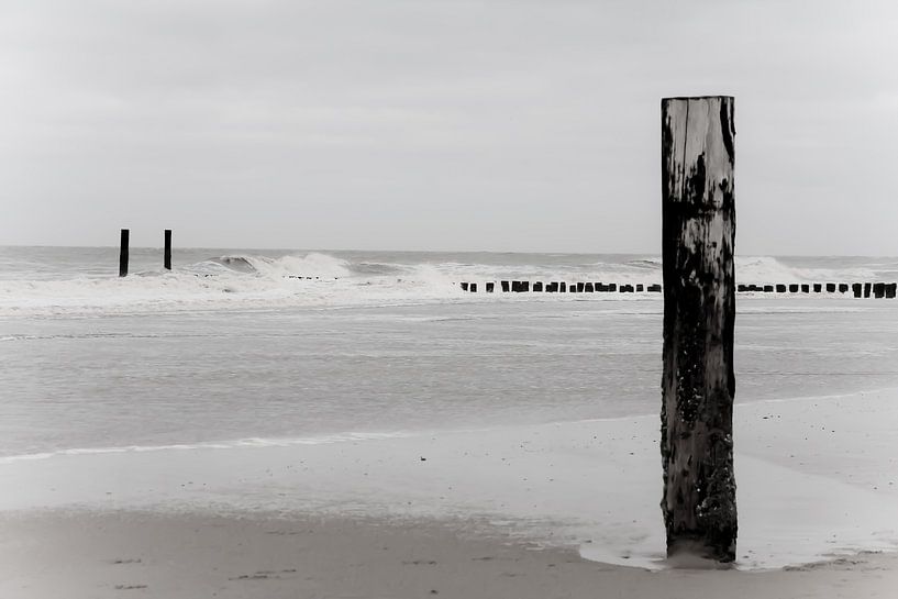 Alone van Wilco Schippers
