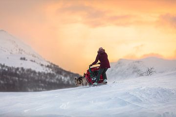 Husky sled over snowy mountain pass at sunrise by Martijn Smeets