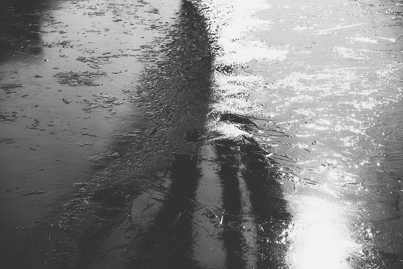 Eine eisige Welt in Schwarz und Weiß von Zaankanteropavontuur
