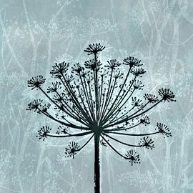 Anthriscus by Joan Engels