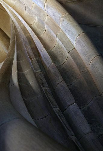 Steinwendeltreppe im alten Turm