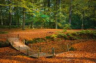 Herbst auf dem Landgut Braak von Henk Meijer Photography Miniaturansicht
