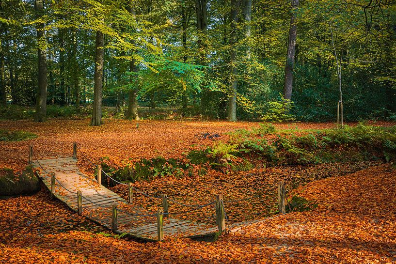 Herbst auf dem Landgut Braak von Henk Meijer Photography