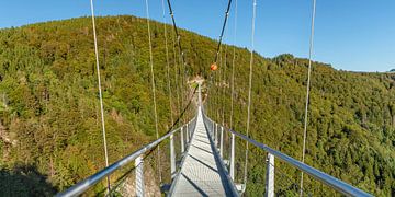 Suspension bridge over the gorge by Markus Lange