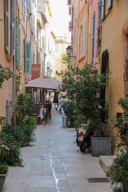 Fassadengärten in Saint Tropez von whmpictures .com