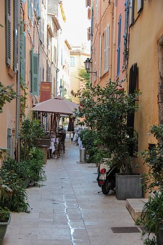 Geveltuinen in Saint Tropez