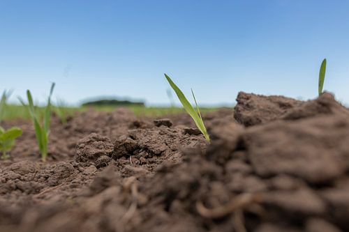 Groningen et Drenthe Veenkoloniën