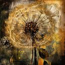 Illuminated Wishes by Floral Abstractions thumbnail