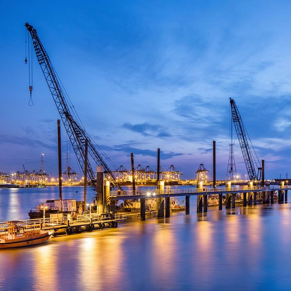 Illuminated pier with large cranes at twilight_1 by Tony Vingerhoets