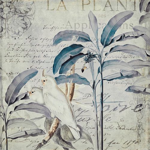 Kaketoes exotisch paradijs