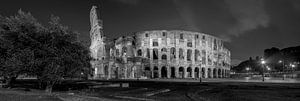 Panorama Colosseum in Rome ( l ) black and white