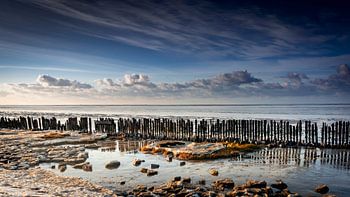 Moddergat in de winter