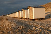 Texel strandhuisjes de Koog