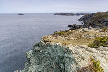 Côte sauvage de Terre-Neuve