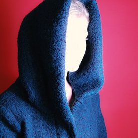 Hero von Esther van Beek