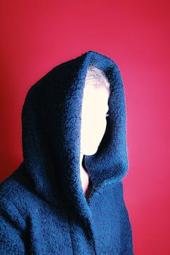 Hero by Esther van Beek