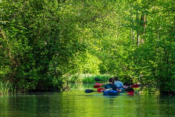 Canoes and water in the Spreewald area, Germany