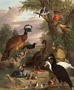 Een verzameling vogels in een park, Jakob Bodány van Meesterlijcke Meesters thumbnail