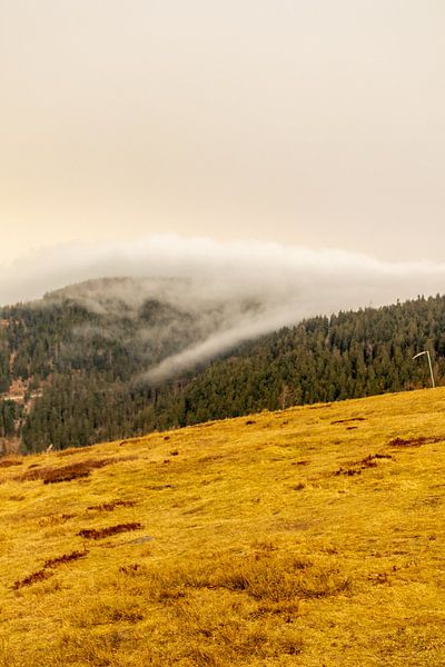 Op verkenning in het mooie Zwarte Woud bij Oppenau van Oliver Hlavaty