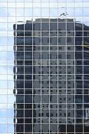 Rotterdam EY von maron branderhorst