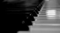 muziek