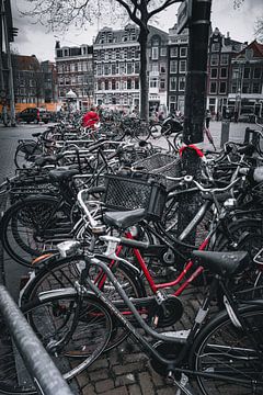 Amsterdam aux Pays-Bas n'est pas seulement noir et blanc