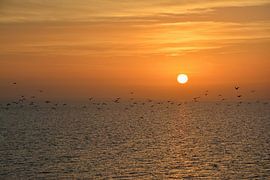 Sunrise Terschelling by Roy Zonnenberg