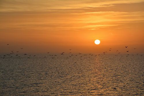 Zonsopkomst Terschelling