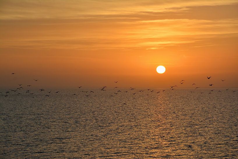 Sonnenaufgang Terschelling von Roy Zonnenberg