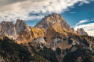 Kellenspitze and Gimpelhaus at sunrise in the Tannheim Valley by Daniel Pahmeier thumbnail