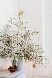Ein kleiner Baum voller Weihnachtslichter von Nienke van Denderen