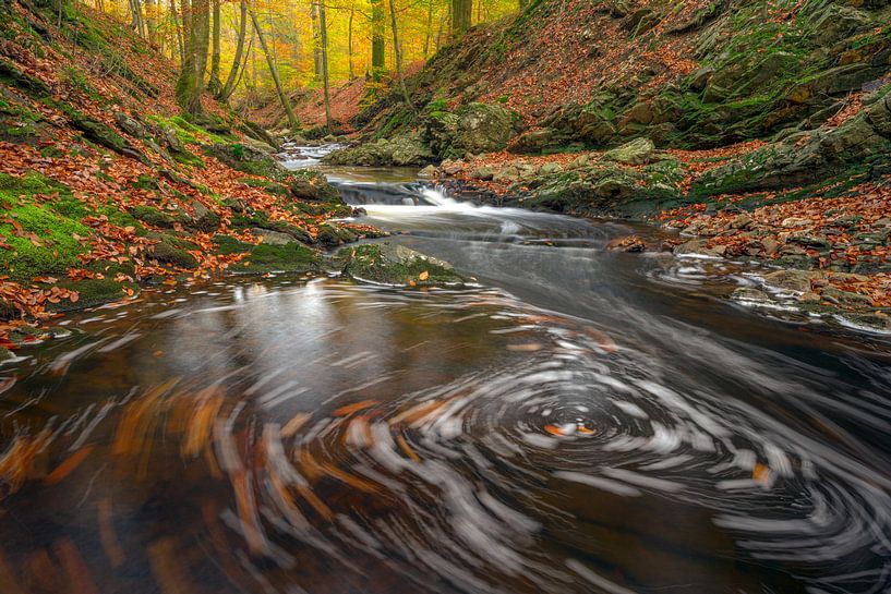 Getzbach (Belgium) by Frank Lenaerts