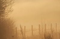 Landschap