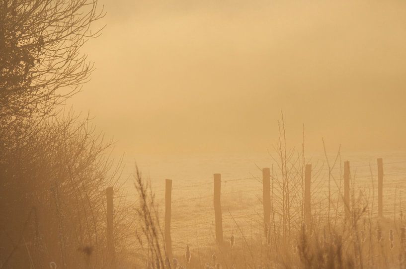 Landscape by Elise Daanen