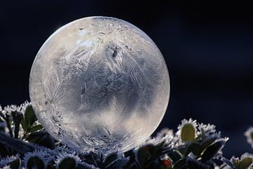 Frozen bubble 02 van Stefanie van Dijk